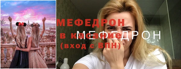 мдпв Вяземский